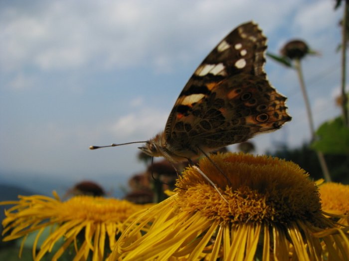 To nej z pod Radhoště s Hotelem Troyer**** v Trojanovicích|Valašské království pro skupiny