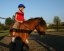 Seznámení s jezdectvím|Česko a Morava pro jednotlivce