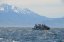 NOVÝ ZÉLAND - Vyhlídkové plavby za velrybami KAIKOURA |Nový Zéland pro skupiny