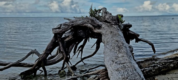 Expedice FATU HIVA a MARKÉZY - po stopách Thora Heyerdahla, Hermanna Melvilla a Paula Gauguina
