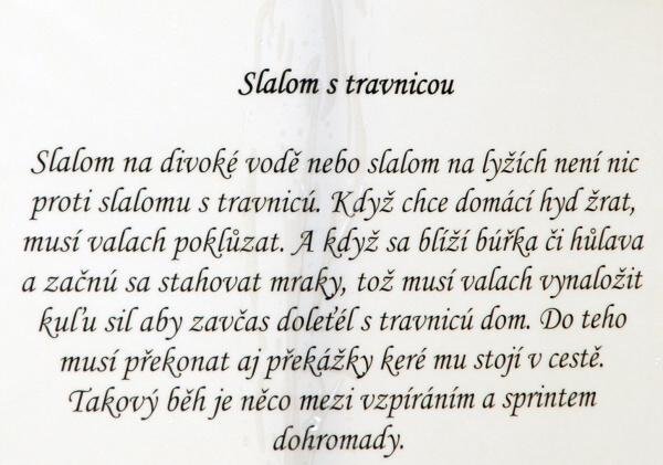 Hry Valašské královské univerzity - Valachyjáda|Valašské království pro skupiny
