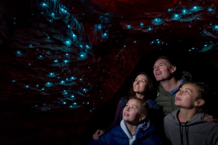 NOVÝ ZÉLAND - TE ANAU GLOWWORM CAVES|Nový Zéland pro skupiny
