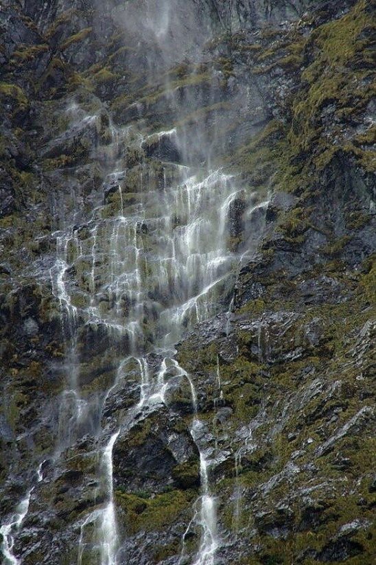 NOVÝ ZÉLAND - MILFORD SOUND, VYHLÍDKOVÉ PLAVBY|Nový Zéland pro skupiny