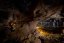 NOVÝ ZÉLAND - TE ANAU GLOWWORM CAVES|Nový Zéland pro skupiny