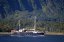 NOVÝ ZÉLAND - MILFORD SOUND, VYHLÍDKOVÉ PLAVBY|Nový Zéland pro skupiny
