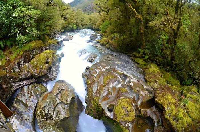 NOVÝ ZÉLAND - MILFORD SOUND, VYHLÍDKOVÉ PLAVBY|Nový Zéland pro skupiny