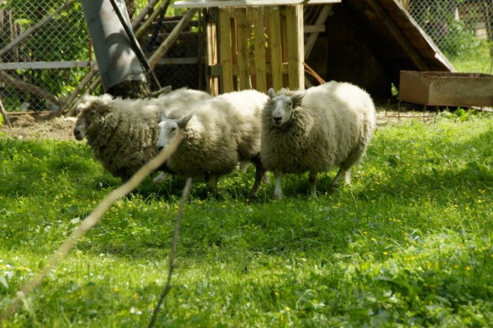 Teambuildingové akce pro 7 vašich smyslů|Česko a Morava pro skupiny a firmy