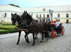Velká romantická jízda|Česko a Morava pro skupiny a firmy