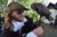 Programy s ukázkami dravých ptáků - sokolnictví s výkladem|Valašské království pro skupiny