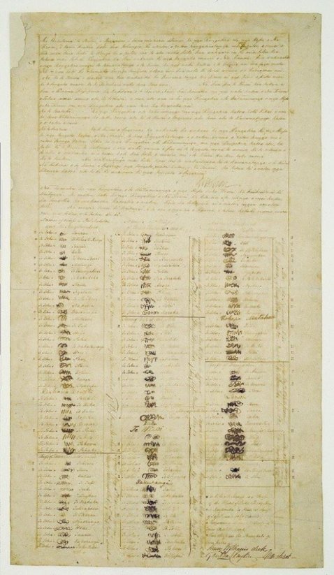 NOVÝ ZÉLAND - WAITANGI, místo, kde se psala historie|Nový Zéland pro skupiny