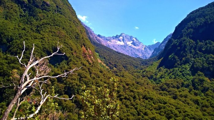 NOVÝ ZÉLAND - MILFORD SOUND, VYHLÍDKOVÉ PLAVBY|Nový Zéland pro skupiny