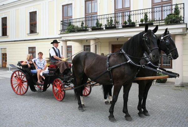 Velká romantická jízda|Česko a Morava pro skupiny a firmy