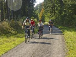 Javorové kouzlo horské cyklistiky – výlety na horských kolech s průvodcem|Česko a Morava pro skupiny a firmy