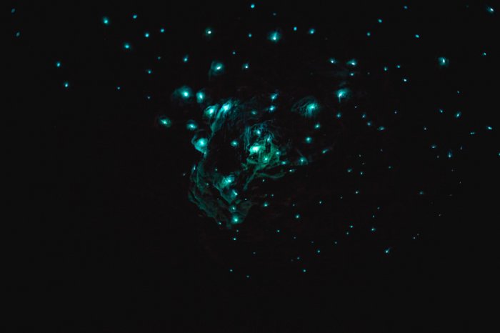 NOVÝ ZÉLAND - TE ANAU GLOWWORM CAVES|Nový Zéland pro skupiny