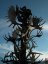 CESTY KOLEM SVĚTA na míru aneb to nejlepší z vesmíru