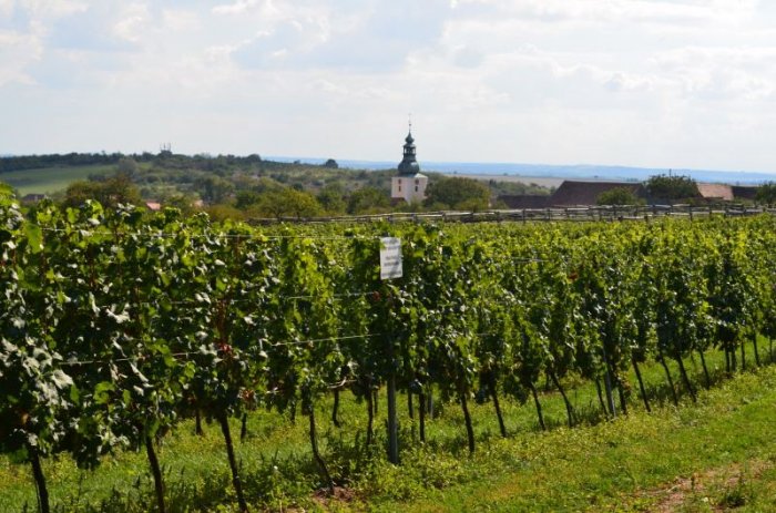 Zájezd do sklepů Louckého kláštera ve Znojmě|Česko a Morava pro skupiny a firmy