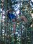 Tarzaní lanové aktivity - studium lanových aktivit v Tarzánii|Česko a Morava pro skupiny a firmy