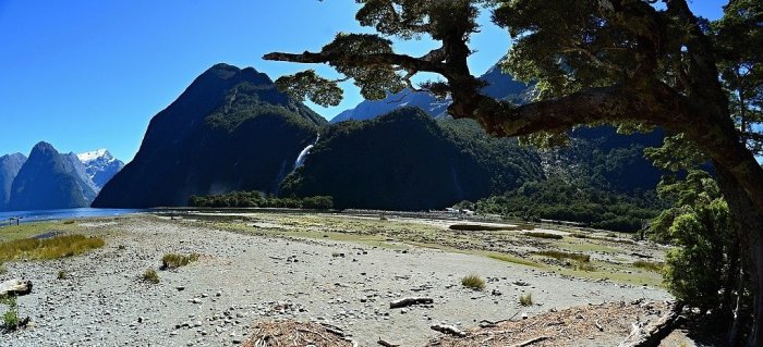 NOVÝ ZÉLAND - MILFORD SOUND, VYHLÍDKOVÉ PLAVBY|Nový Zéland pro skupiny