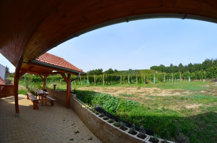 Zájezdy, akce, programy ve vinných sklípcích Jížní Moravy!|Česko a Morava pro skupiny a firmy