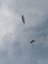 Tandem paragliding na ochutnávku|Valašské království pro jednotlivce