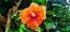 CESTY KOLEM SVĚTA na míru aneb to nejlepší z vesmíru