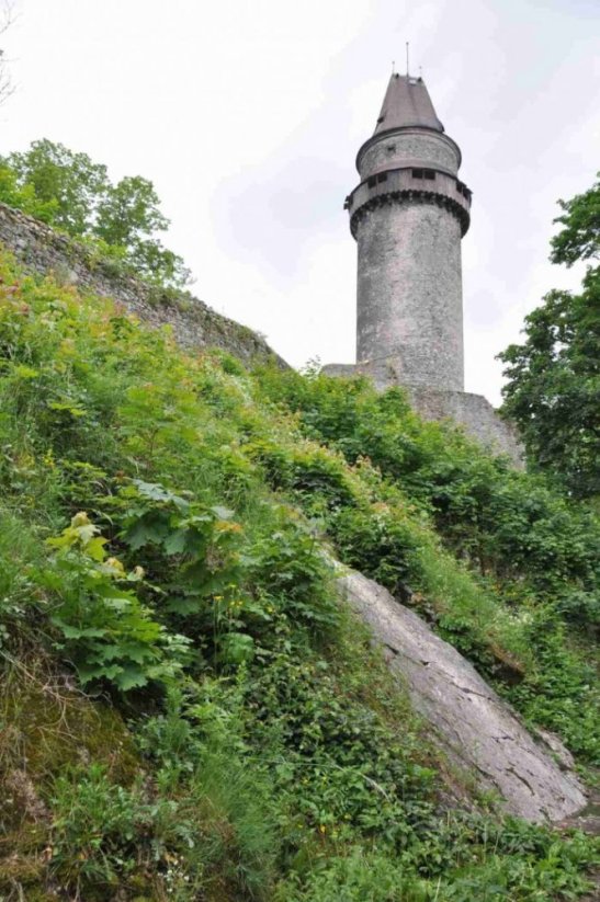 Vzrušující studium Valašské královské univerzity pro skupiny|Česko a Morava pro skupiny a firmy