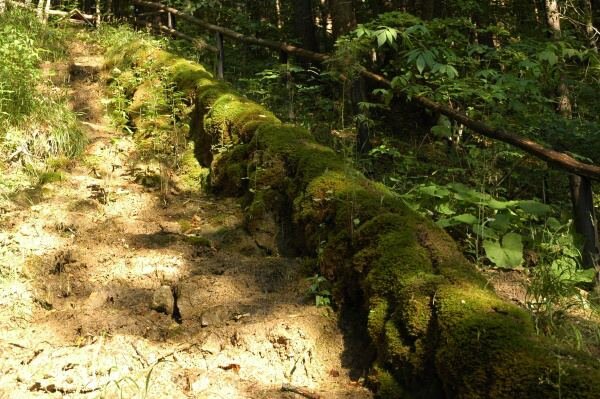Historická jízda - projížďka veteránem Beskydami|Česko a Morava pro skupiny a firmy