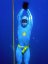 Kurz nádechového potápění – Freediving|Česko a Morava pro skupiny a firmy