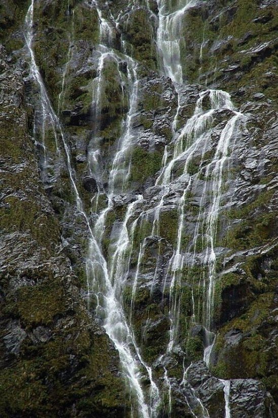 NOVÝ ZÉLAND - MILFORD SOUND, VYHLÍDKOVÉ PLAVBY|Nový Zéland pro skupiny