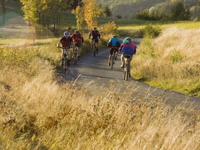 Javorové kouzlo horské cyklistiky – výlety na horských kolech s průvodcem|Česko a Morava pro skupiny a firmy
