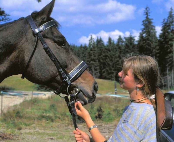 Seznámení s jezdectvím|Česko a Morava pro jednotlivce