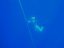 Kurz nádechového potápění – Freediving|Česko a Morava pro skupiny a firmy