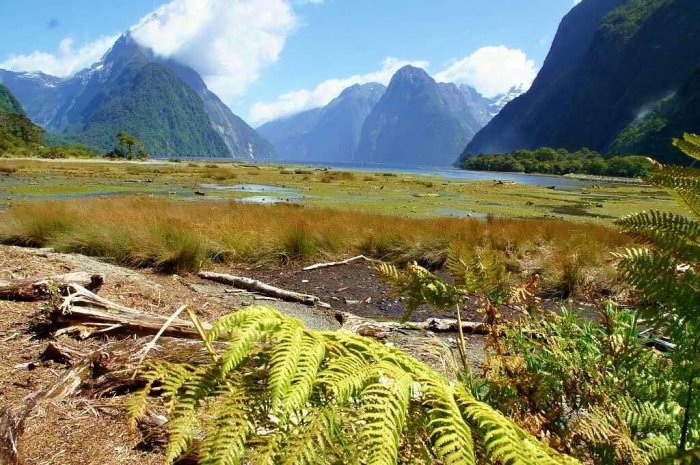 NOVÝ ZÉLAND - MILFORD SOUND, VYHLÍDKOVÉ PLAVBY|Nový Zéland pro skupiny