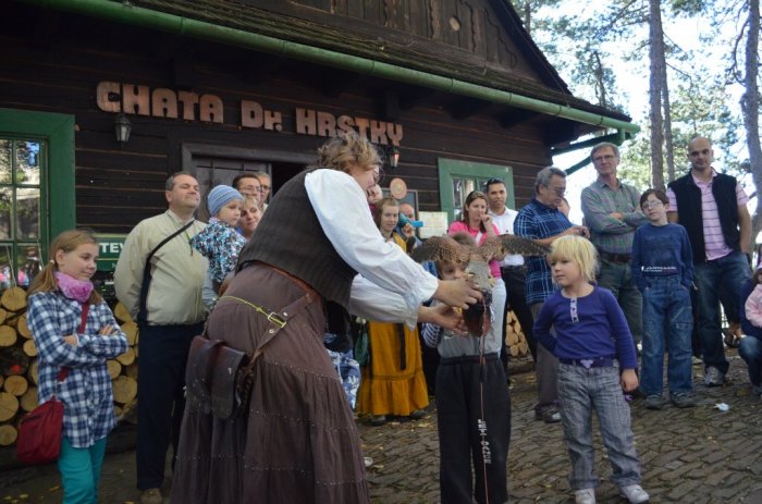 Programy s ukázkami dravých ptáků - sokolnictví s výkladem|Valašské království pro skupiny