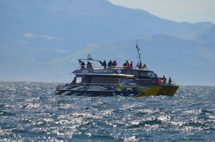 NOVÝ ZÉLAND - Vyhlídkové plavby za velrybami KAIKOURA |Nový Zéland pro skupiny