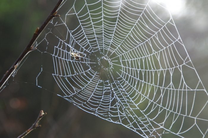 To nej z pod Lysé hory|Valašské království pro skupiny