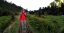 NOVÝ ZÉLAND - RODINNÉ CESTY (Self drive holidays)|Nový Zéland pro skupiny
