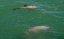 NOVÝ ZÉLAND - Vyhlídkové plavby za velrybami KAIKOURA |Nový Zéland pro skupiny
