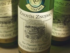 Cesta za pravdú aneb za kouzlem vína ze Znovína|Česko a Morava pro skupiny a firmy